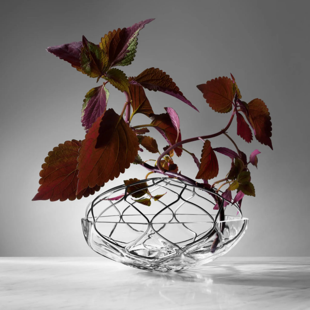 Orrefors | Bloom Vase Low Orrefors