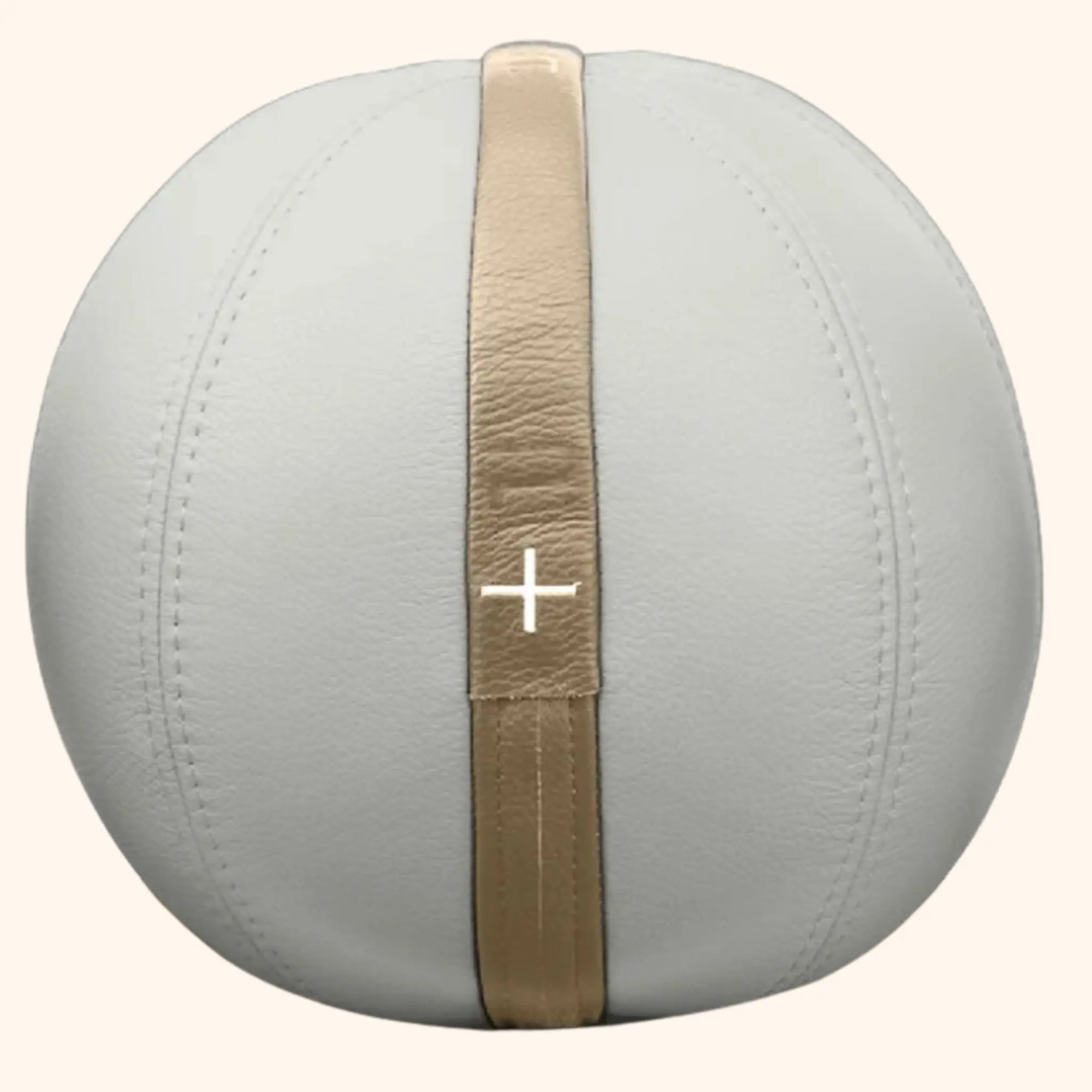 PENT | MOXA Weighted Leather Ball PENT