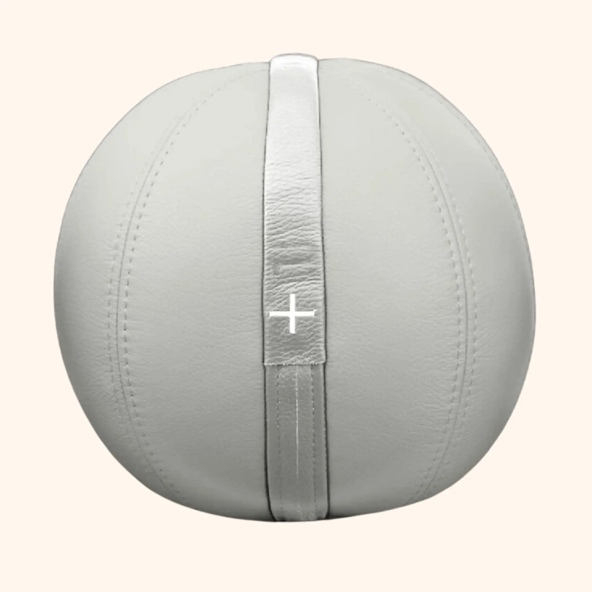 PENT | MOXA Weighted Leather Ball PENT