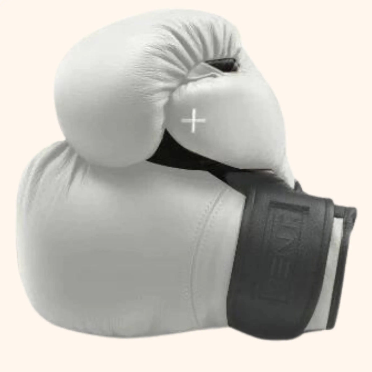 PENT | RAXA Luxury Genuine Leather Boxing Gloves -Small PENT