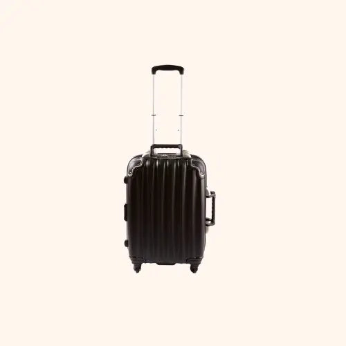 VinGardeValise | Piccolo 5-Bottle Fly With Wine